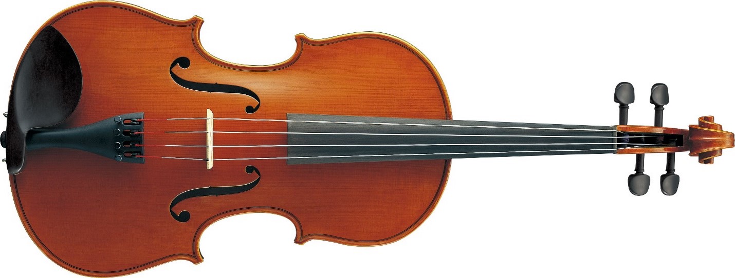 ava5 Acoustic viola.